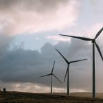 Sucesión ecológica