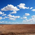 Sector agropecuario