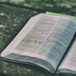 Estructura de un texto