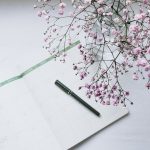 Organizaciones lucrativas y no lucrativas