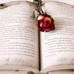 Tipos de libros