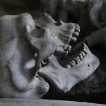 Tejidos del cuerpo humano